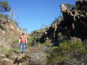 Bendaldy Ranges 2015 034