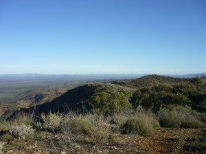 Bendaldy Ranges 2015 044