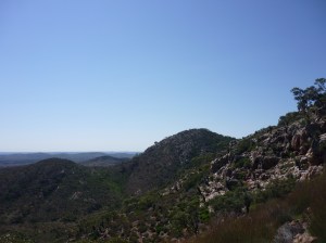 Pualko Kanaka ridge 2015 005