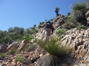 Pualko Kanaka ridge 2015 007