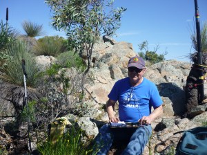 Pualko Kanaka ridge 2015 013