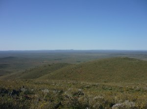 Pualko Kanaka ridge 2015 020